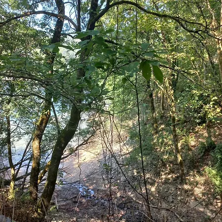 Natura *